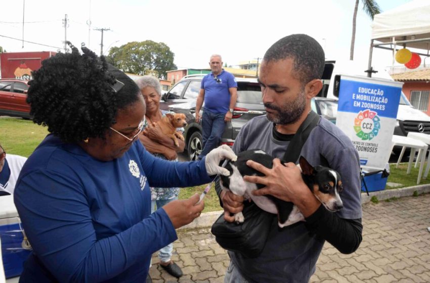 Campanha de Vacinação Antirrábica segue nesta semana em Salvador
